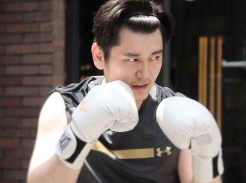 王岳岳最新爆料视频,事件真相与幕后黑幕 第2张 王岳岳最新爆料视频,事件真相与幕后黑幕 第2张